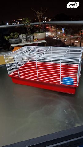 תמונת מודעה - חיות מחמד