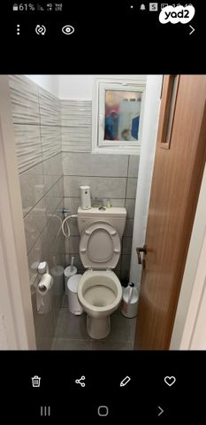 קרן היסוד 29