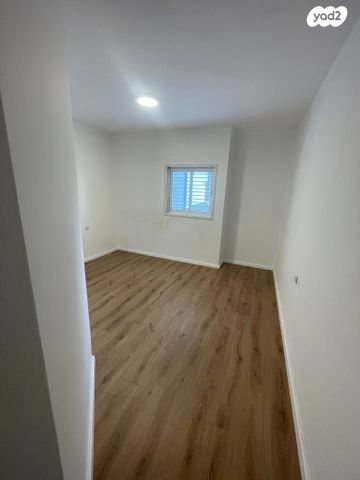 דוד שמעוני 4