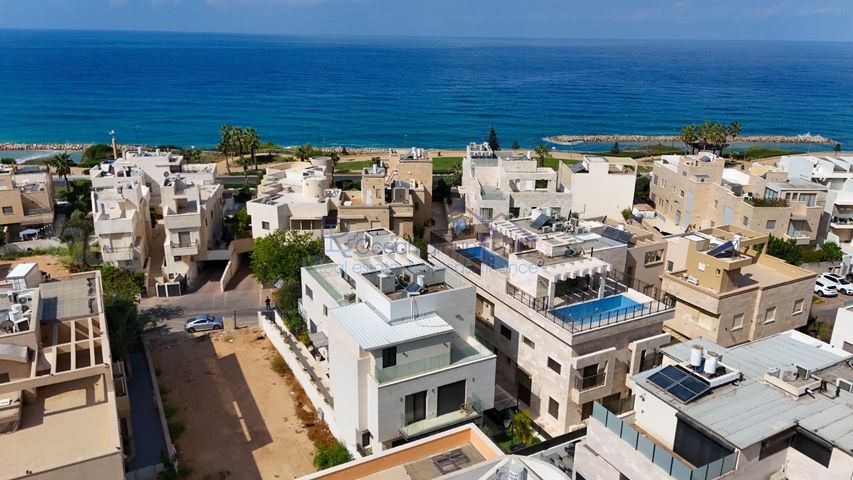 הרינה 7