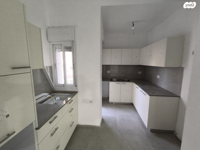 אליעזר הלוי 