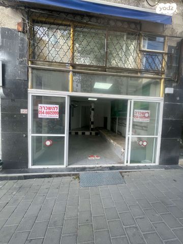 מנדלי מוכר ספרים