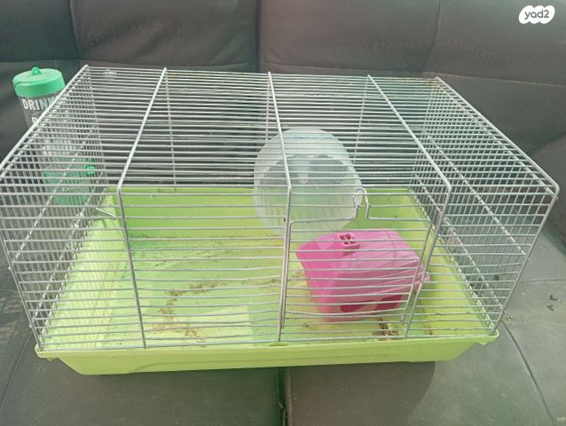 תמונת מודעה - חיות מחמד