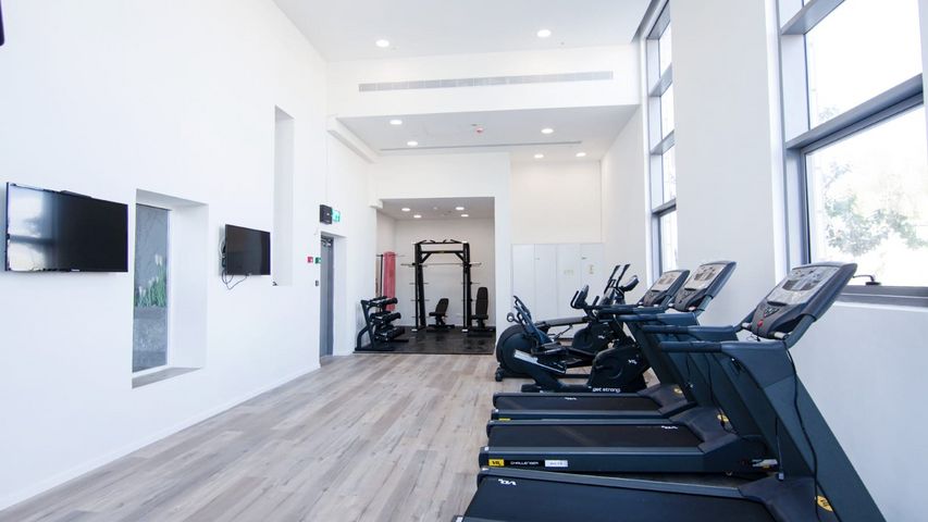 י"א הספורטאים 