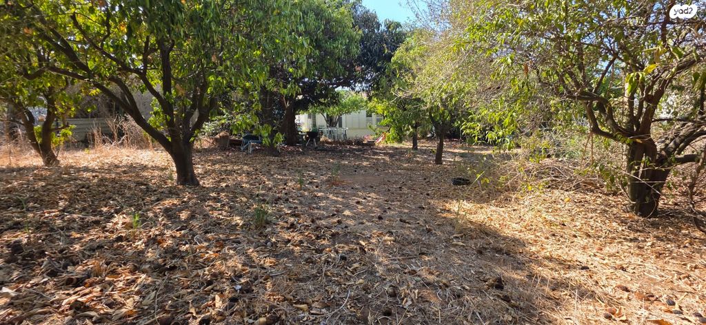 מגרשים, נווה עמל, הרצליה