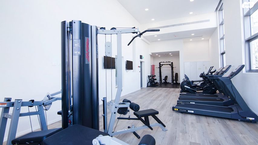 י"א הספורטאים 