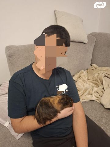 תמונת מודעה - חיות מחמד