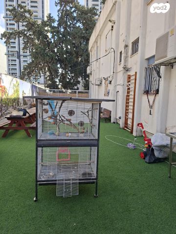 תמונת מודעה - חיות מחמד