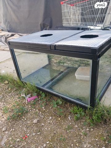 תמונת מודעה - חיות מחמד