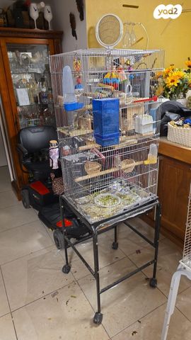 תמונת מודעה - חיות מחמד