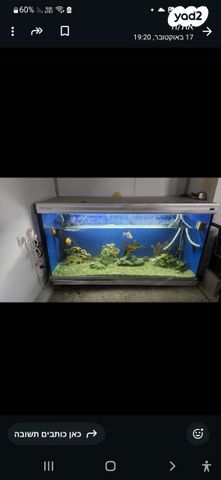 תמונת מודעה - חיות מחמד