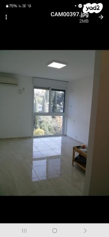 זלמן שניאור 12