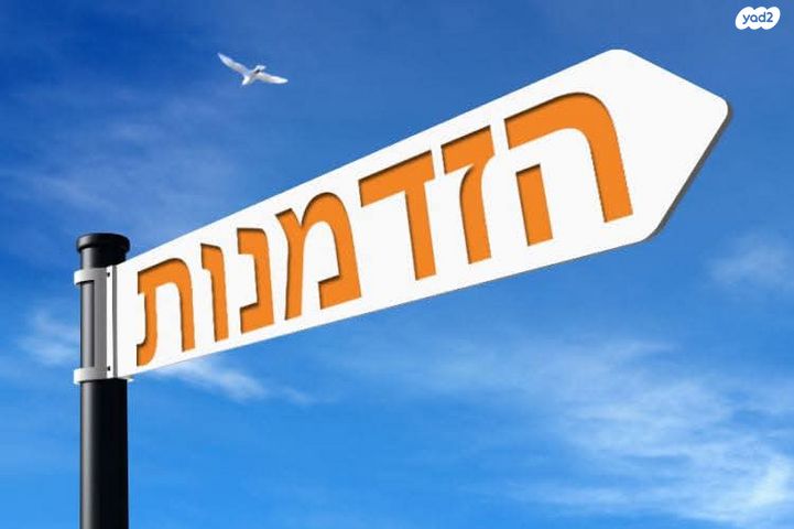צופים