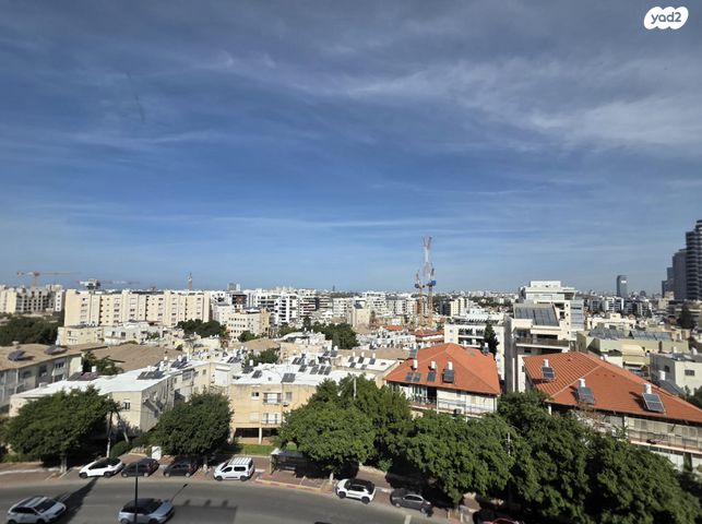 אלעזר ויינשל 2