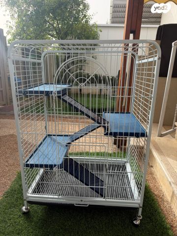 תמונת מודעה - חיות מחמד