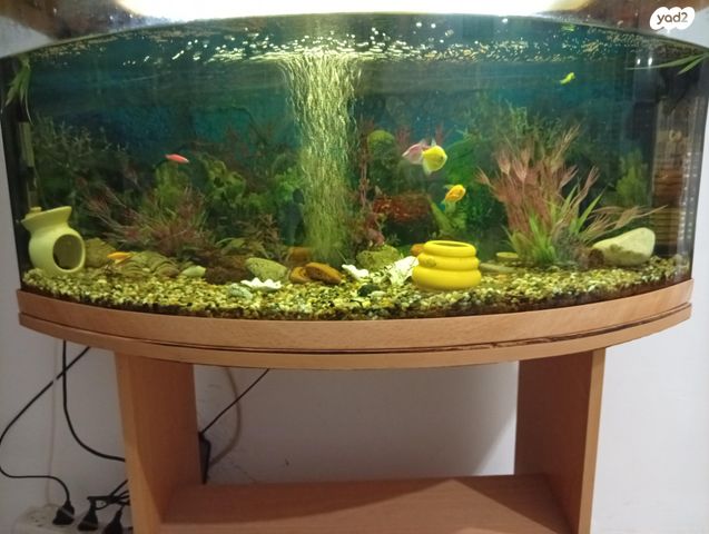 תמונת מודעה - חיות מחמד