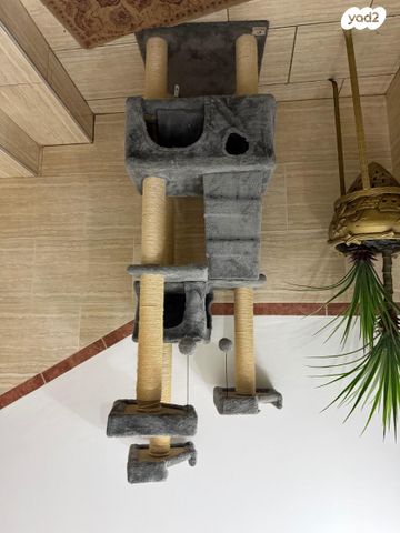 תמונת מודעה - חיות מחמד