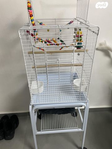 תמונת מודעה - חיות מחמד