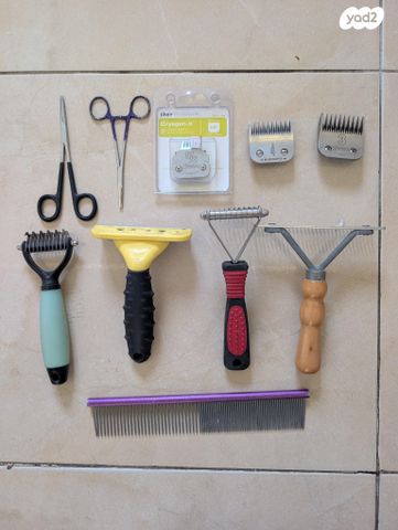 תמונת מודעה - חיות מחמד