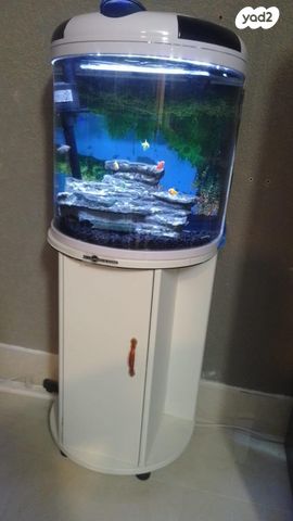 תמונת מודעה - חיות מחמד