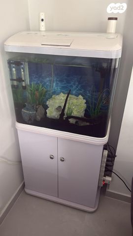 תמונת מודעה - חיות מחמד