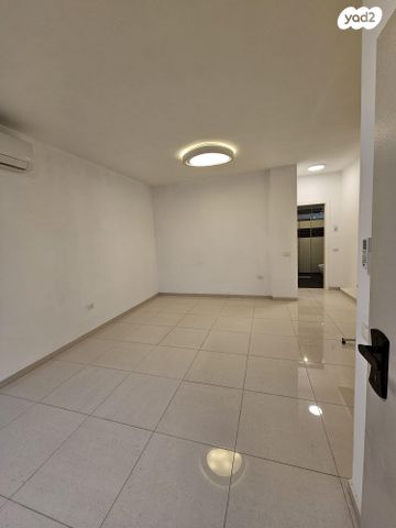 פנחס מאירי 33