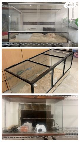 תמונת מודעה - חיות מחמד