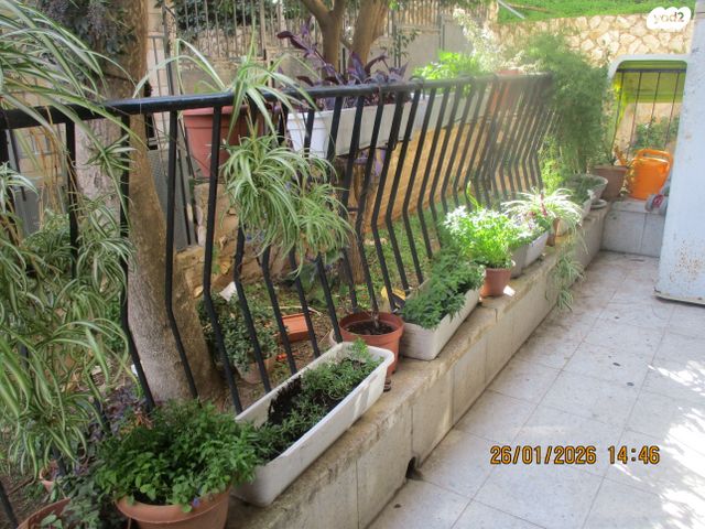 חיים מיכל מיכלין