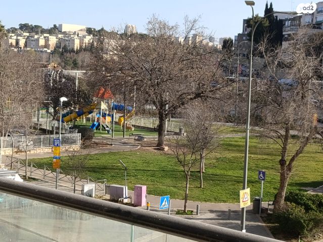 דוד צבי פנקס 