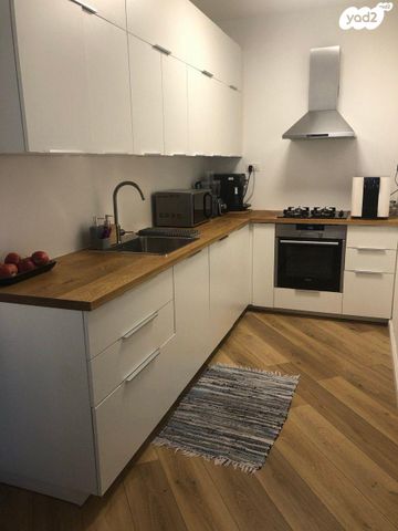 אלכסנדר סשה ארגוב 15