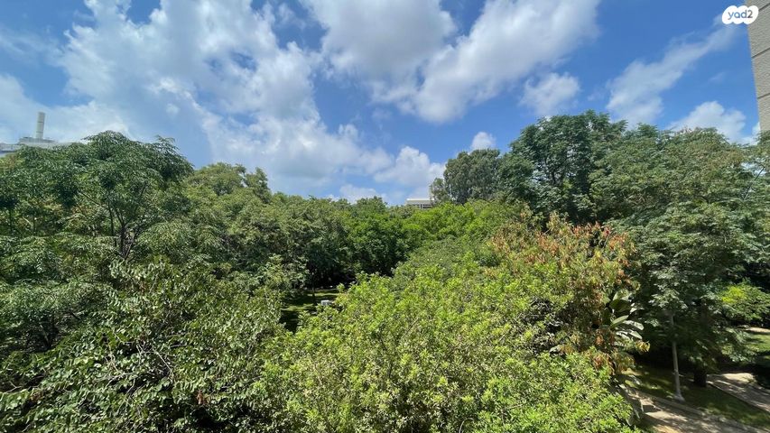 שביל ברלינר 