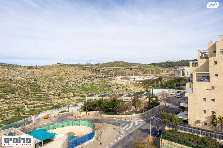 הרב אריה בינה 