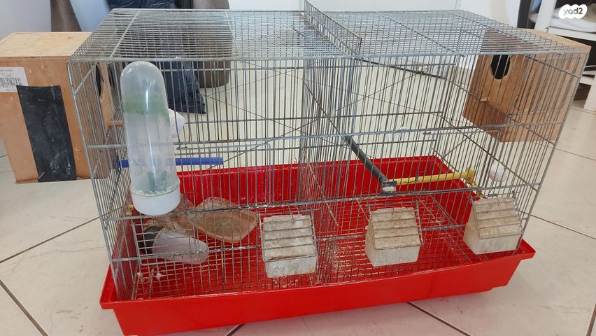 תמונת מודעה - חיות מחמד