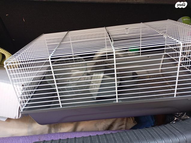 תמונת מודעה - חיות מחמד