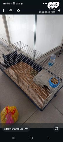 תמונת מודעה - חיות מחמד