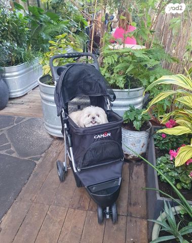 תמונת מודעה - חיות מחמד