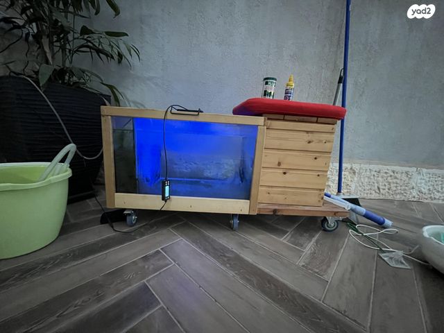 תמונת מודעה - חיות מחמד