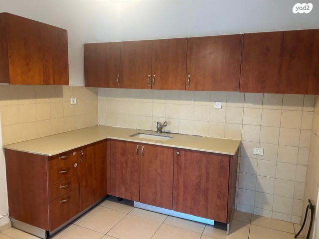 אליהו לנקין 