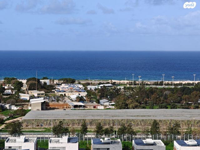 דירה, טירת כרמל