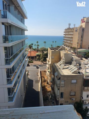 דוד המלך 