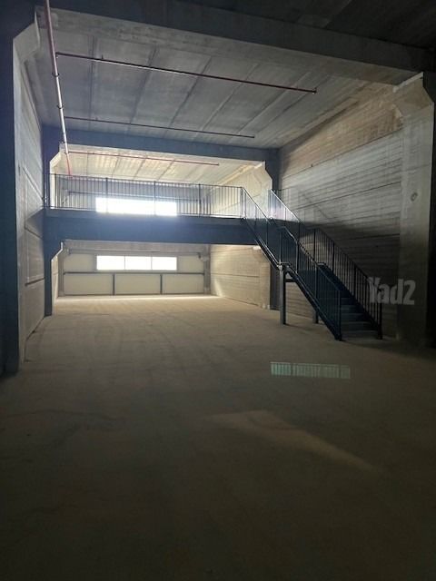 בן ציון גליס 33