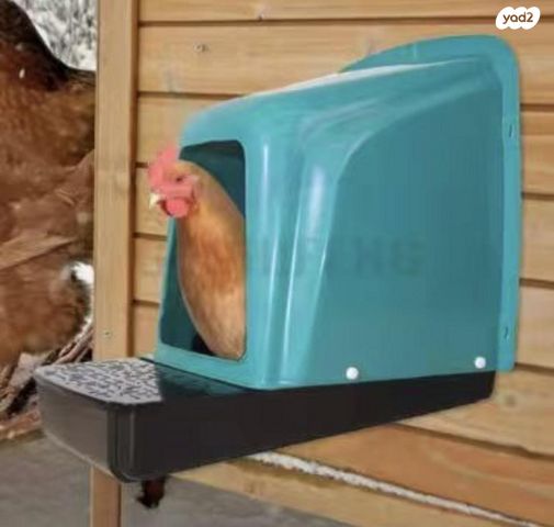 תמונת מודעה - חיות מחמד