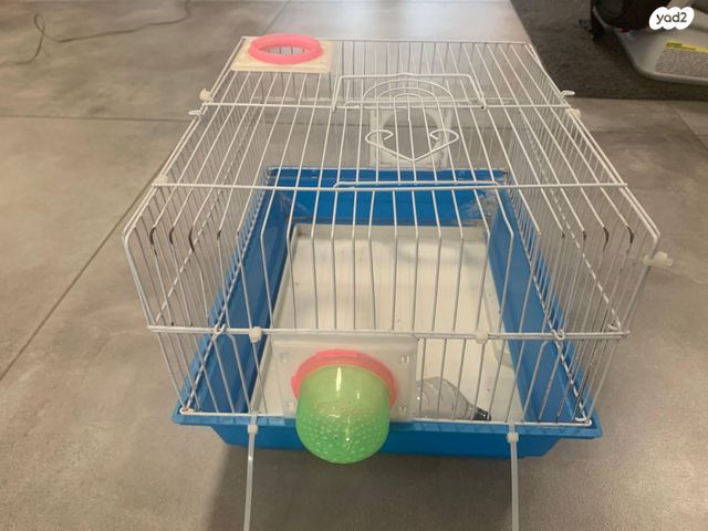 תמונת מודעה - חיות מחמד