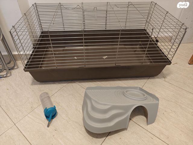 תמונת מודעה - חיות מחמד