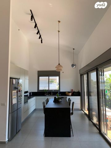 יגאל אלון 31