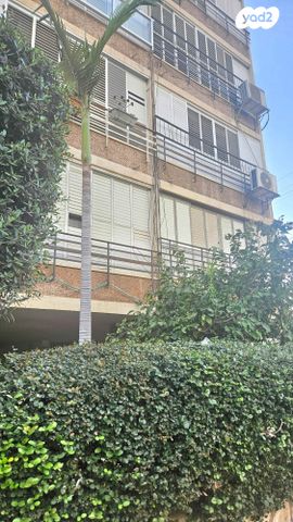 חביבה רייק 17