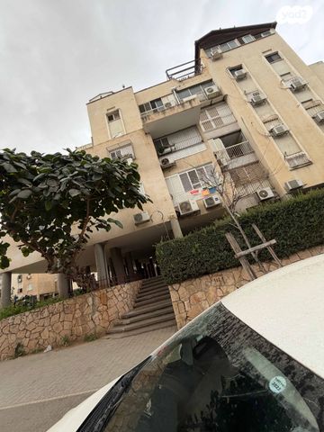 צבי הרלינג 13