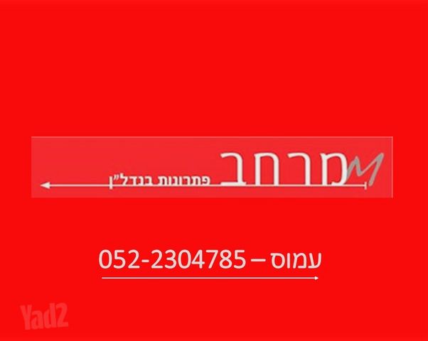 לסטר/רבוצקי