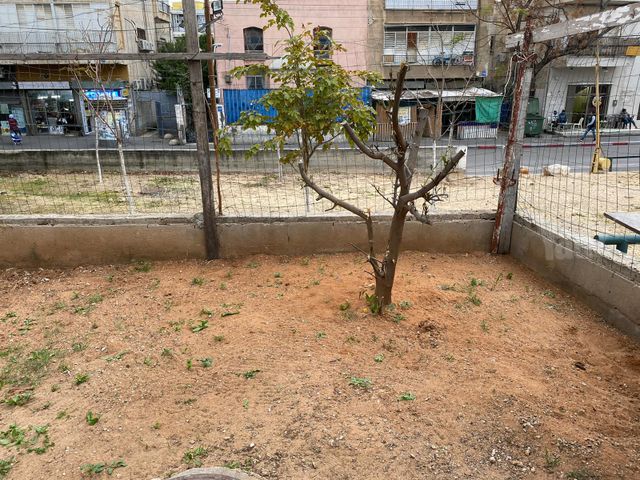 בית פרטי/ קוטג' להשכרה בתל אביב יפו (תיווך) — 2