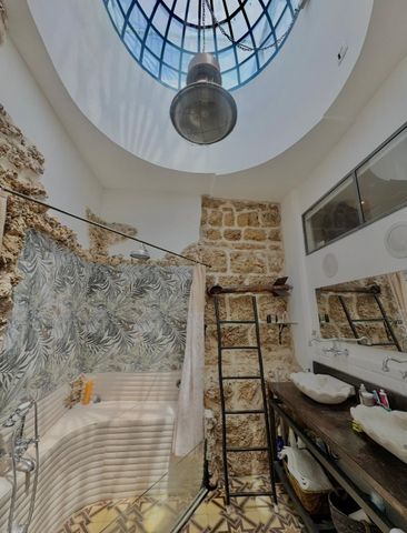 בית פרטי/ קוטג' להשכרה בתל אביב יפו (תיווך) — 5